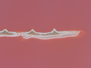 Геническое озеро