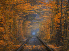 Осення дорога