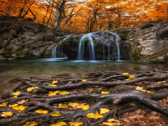 Осенний этюд.