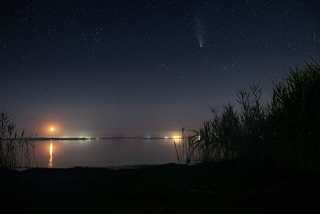 Нічні гості