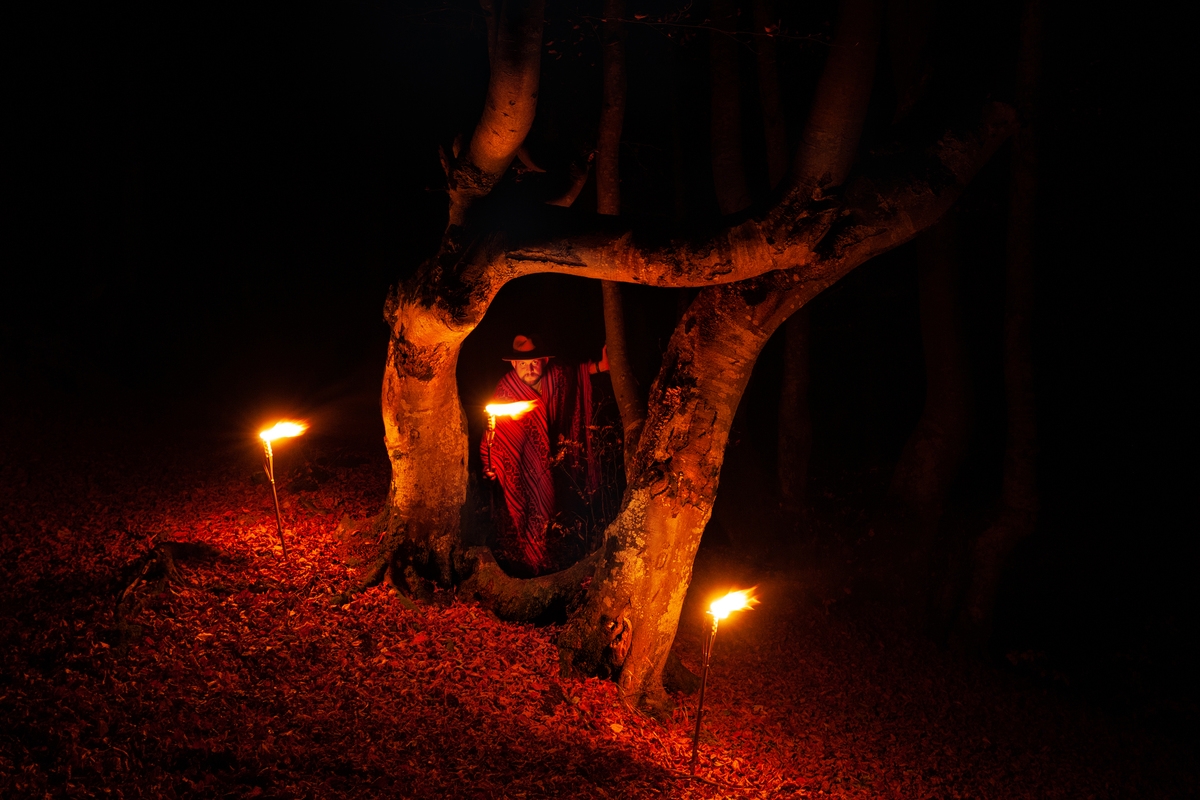 Зустріч у лісі