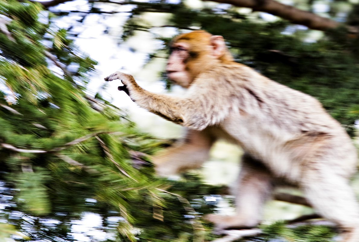 Relatives in the Atlas Mountains Morocco 8
