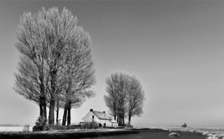 Isendica met fietser in ZwW