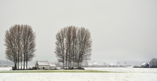 Isendica na sneeuwstorm