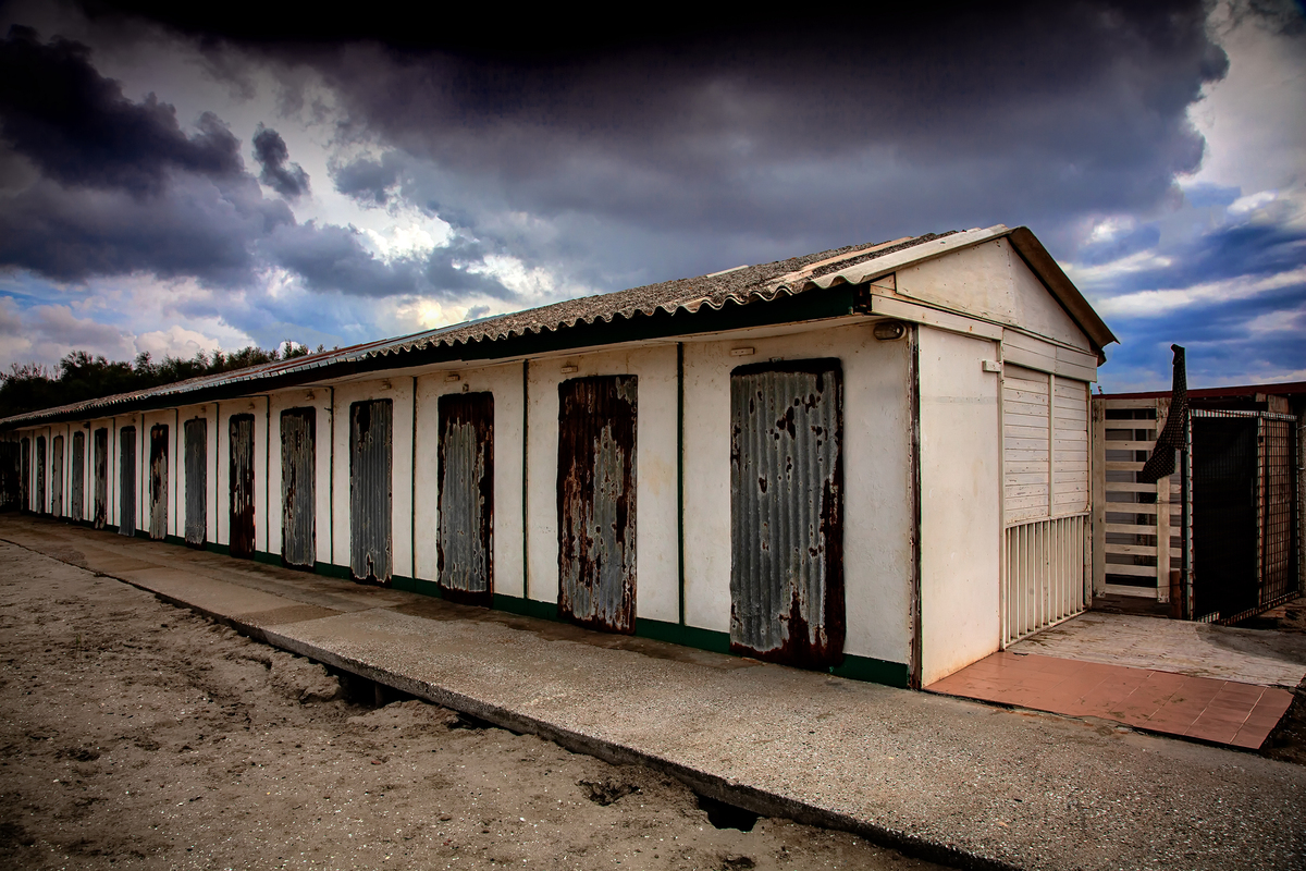 Waiting for the summer 3