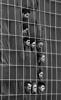 Now we are in a cage