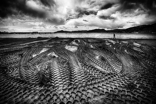 To the sea of winter 4