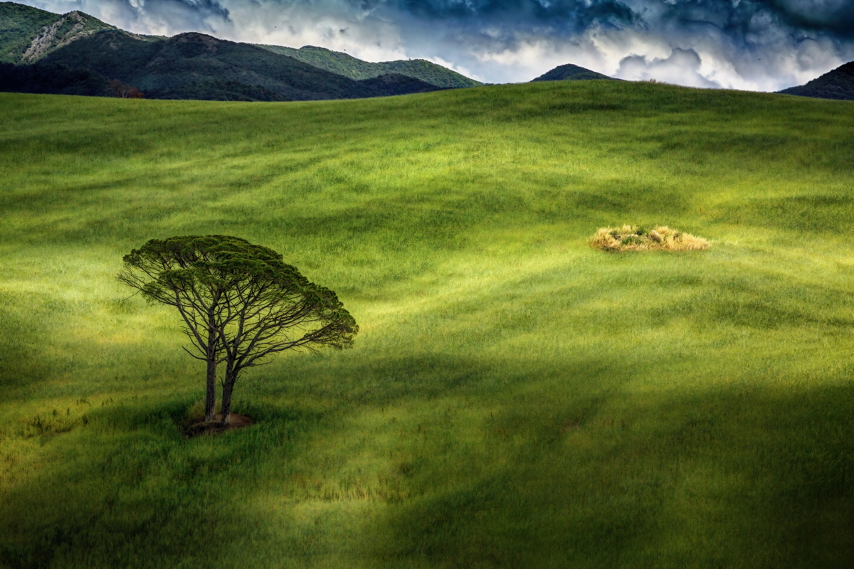 Colors of the countryside 5