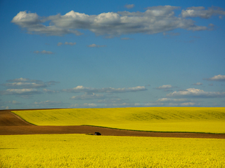 На просторах Батьківщини