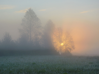 Магія світанку