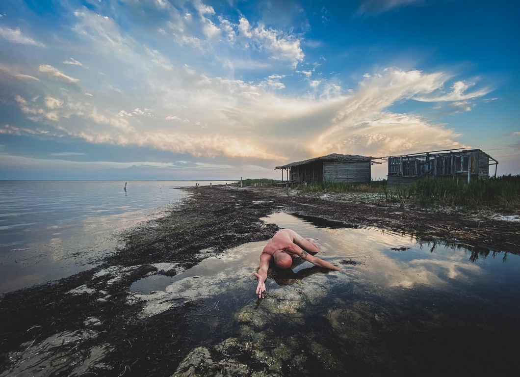 Обпалені дерева