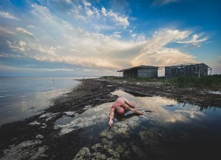 Обпалені дерева