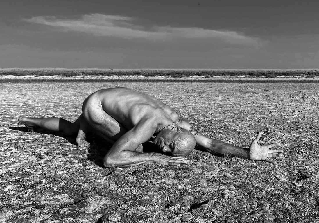 Обпалені дерева