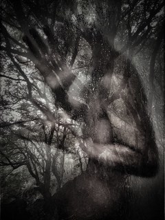 Тіні забутих предків