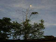 Місяць і місто