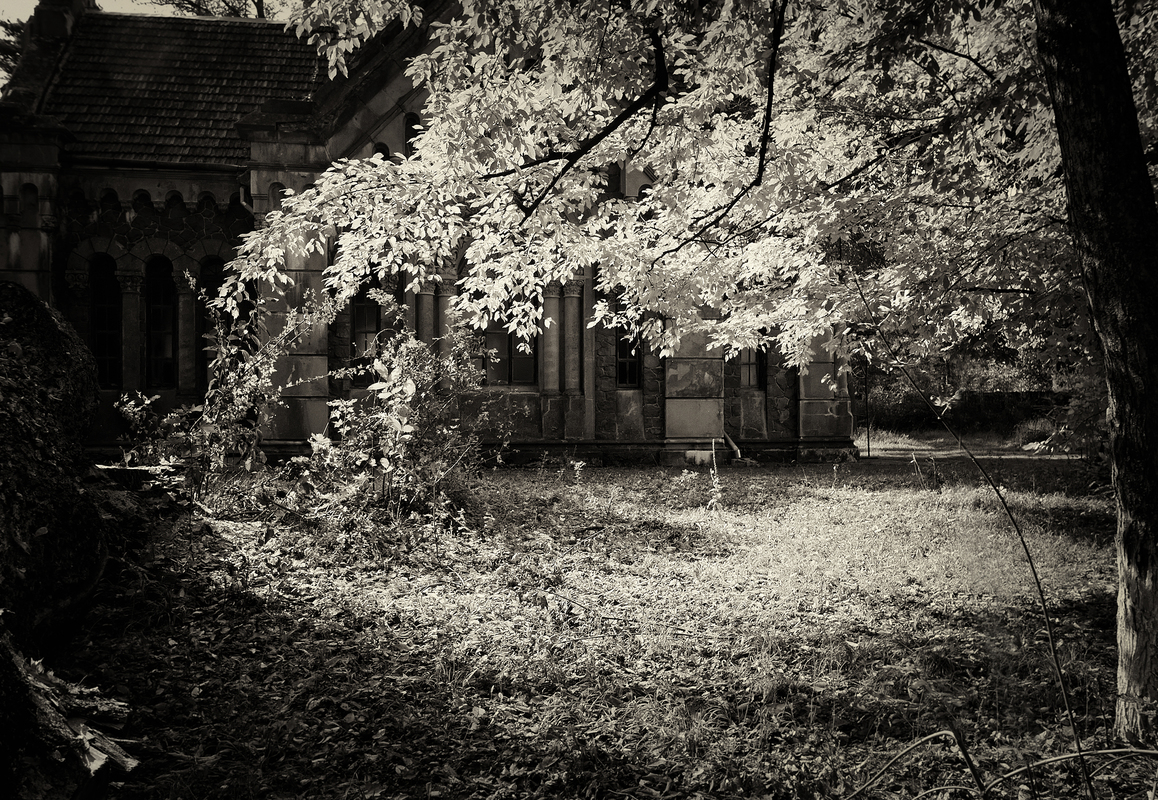 Сонячне світло