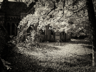 Сонячне світло