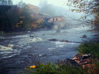 Останній жовтий лист