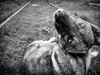 Забери мене з собою