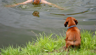 Портрет в стилі Пікассо