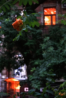 Тихий дворик