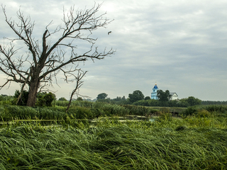 Перед грозою