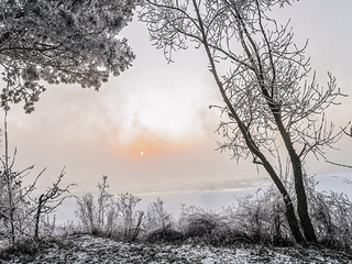 Зимове сонце