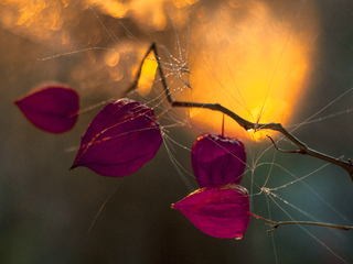 Захід сонця