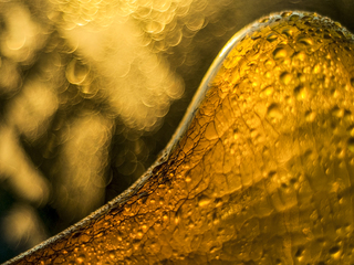 Бурштинові сни