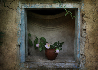 Заглядаючи в старі вікна