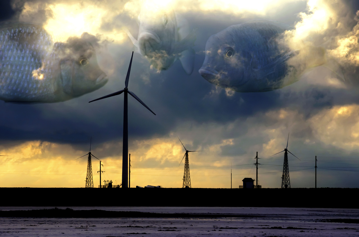  Яким буде світ після пандемії