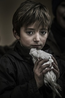 Boy with a dove