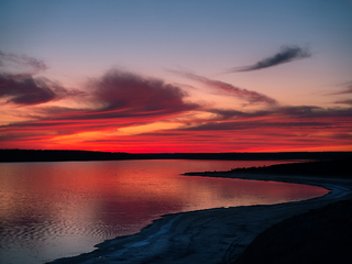 Лінії Куяльника