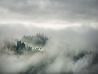 Туманне життя