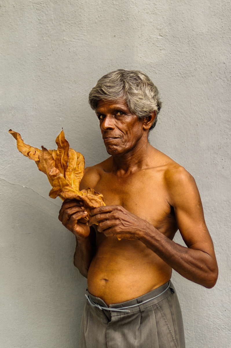 Висушений сонцем