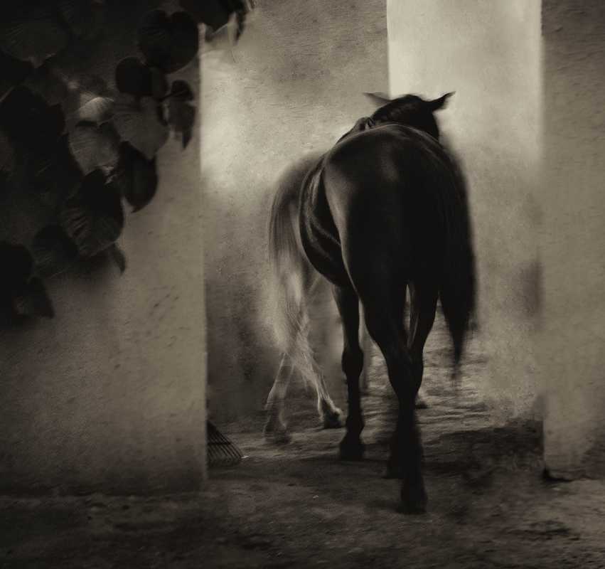 Вона. Поклик крові