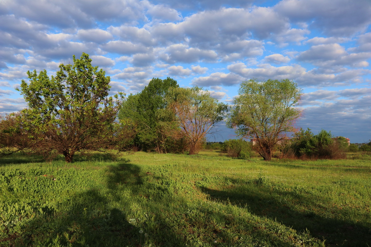 Під рідним небом.
