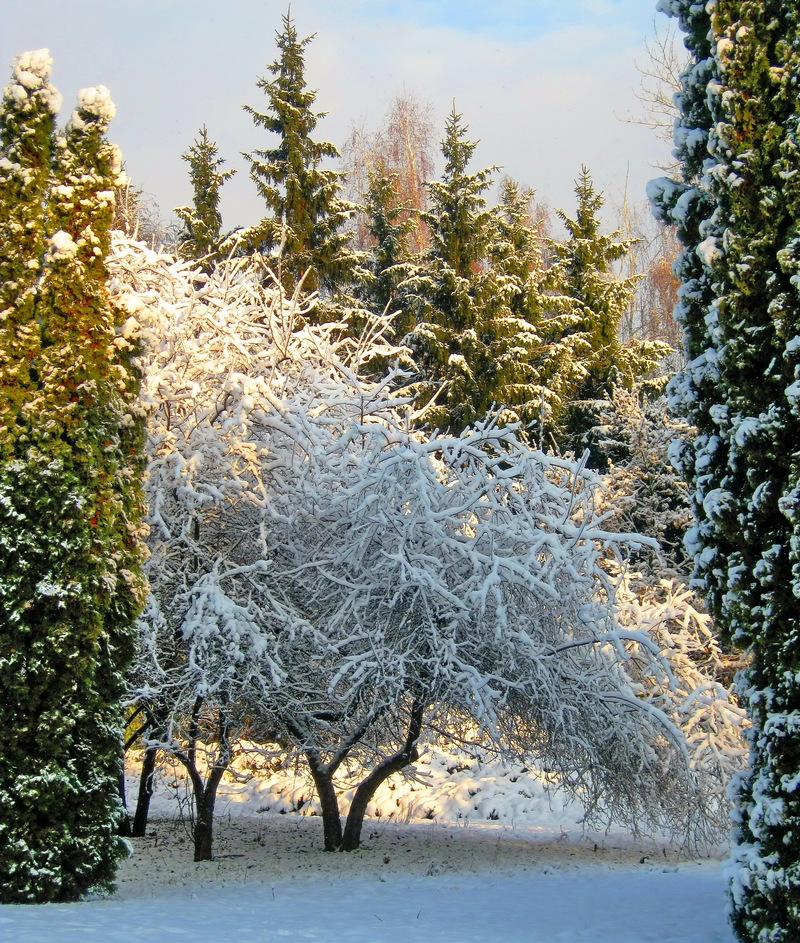 Роспушився іній.