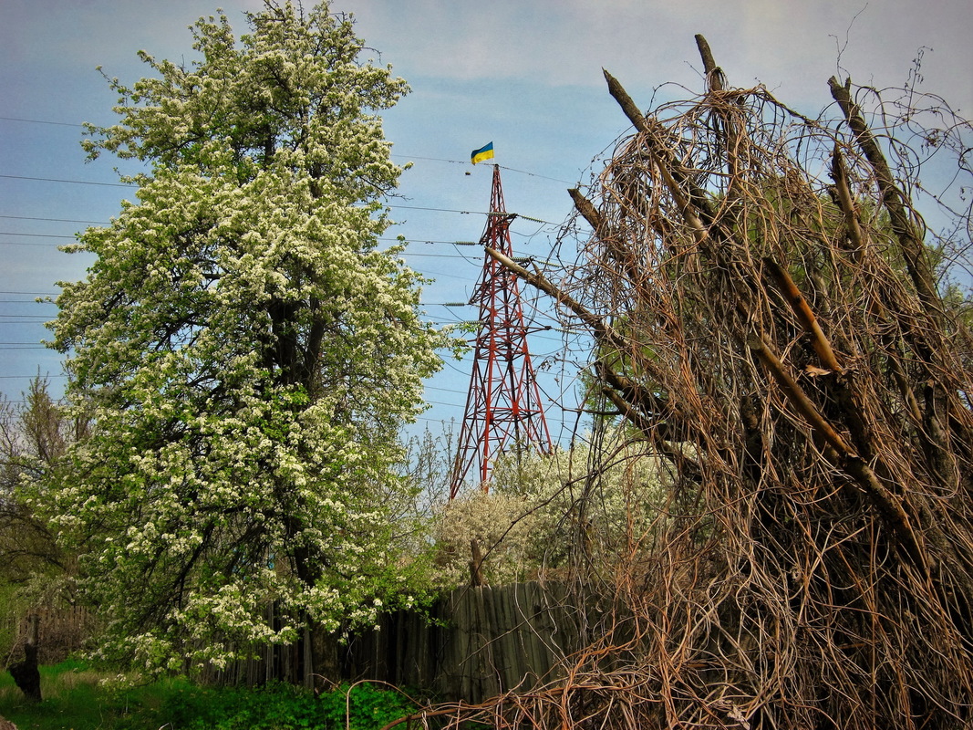 Зубожіння, чи росквіт?