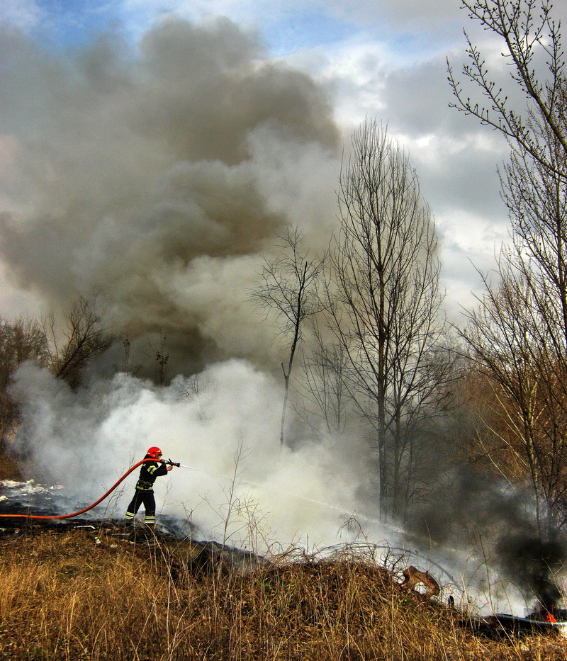 Приборкання стихії.