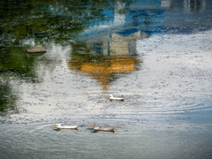 Земне, небесне і вода