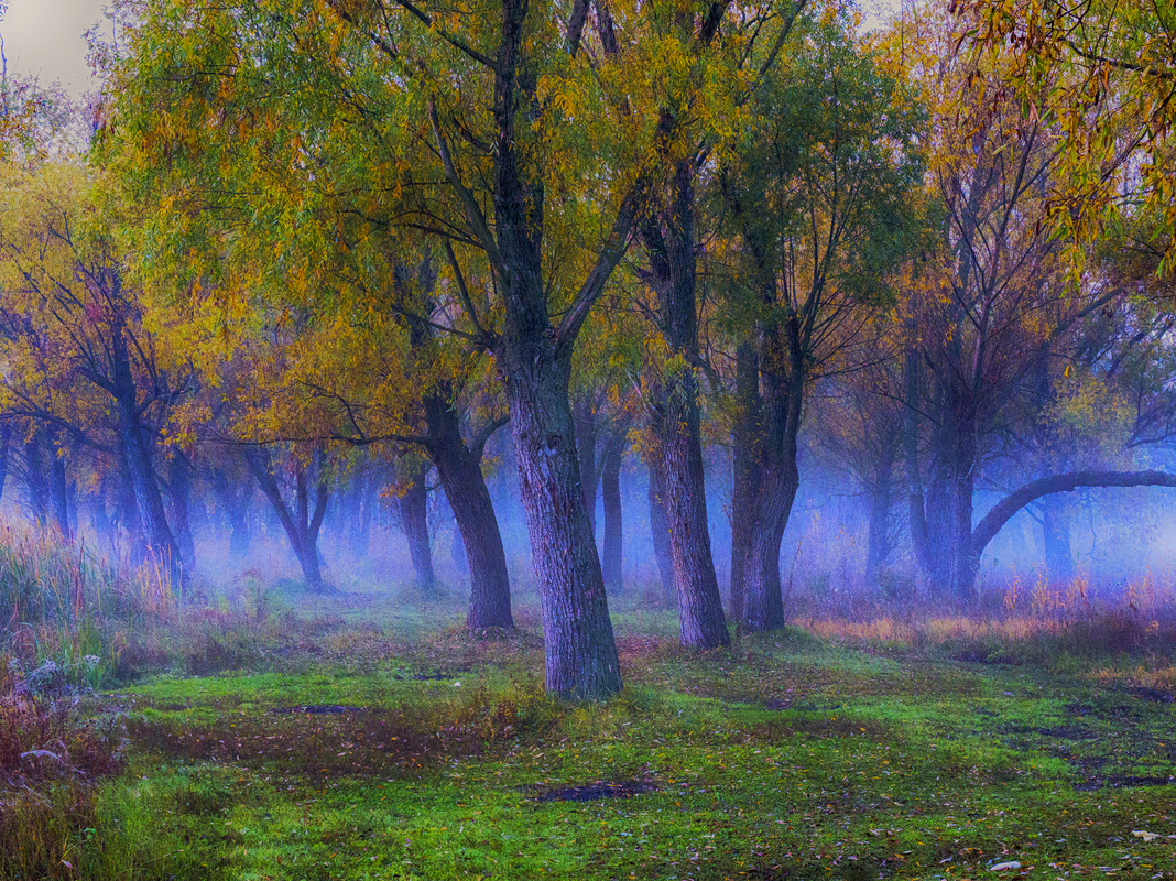 Блакитний світанок