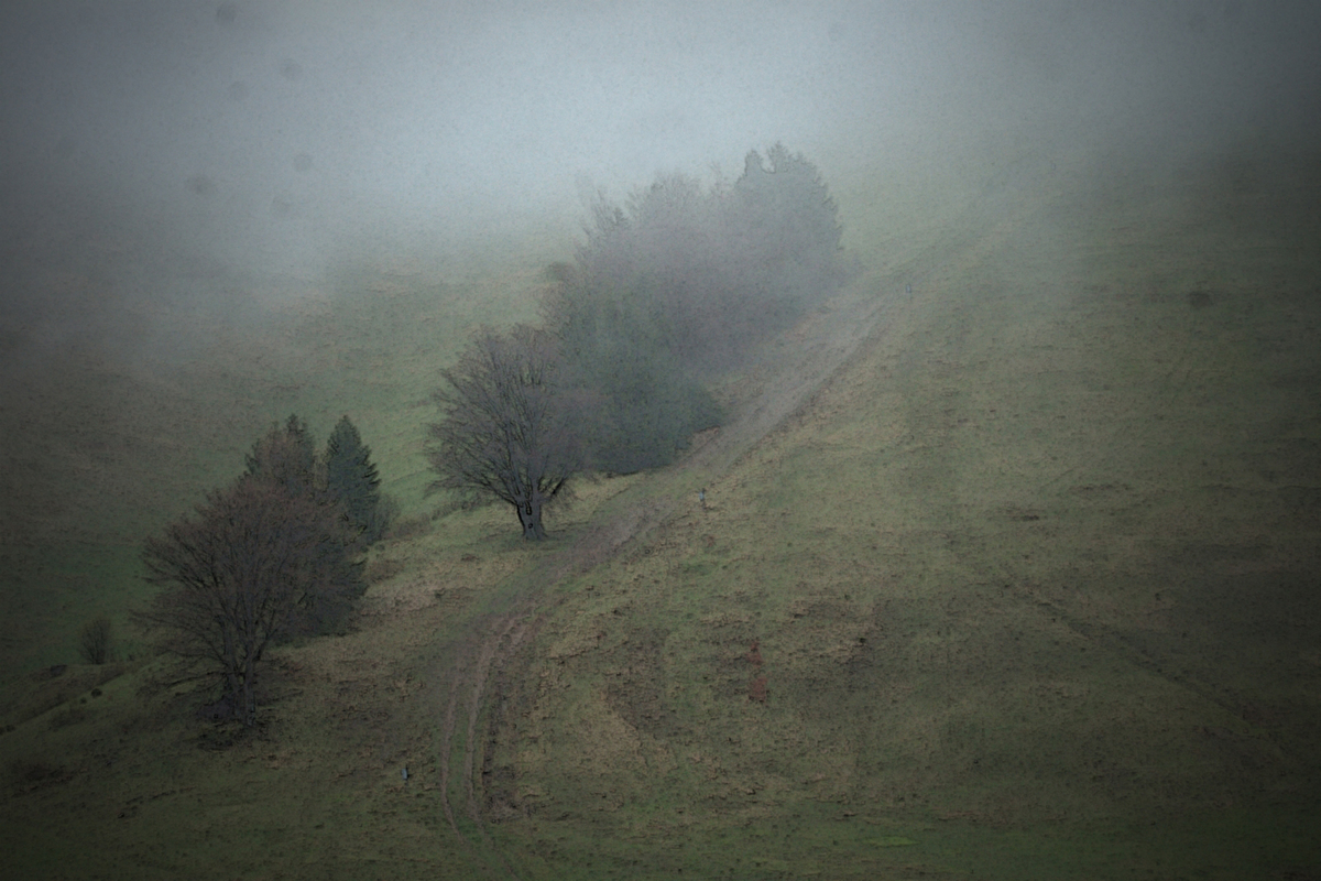 Туманний день