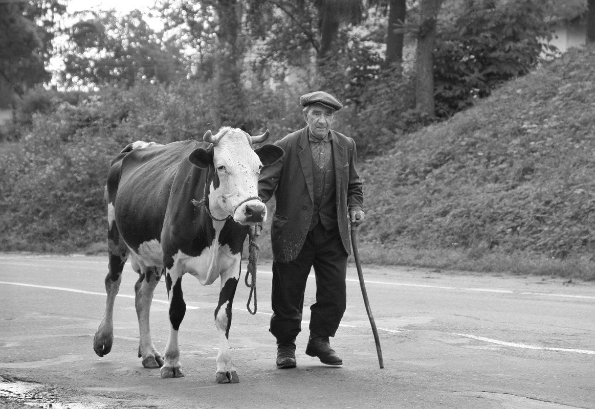 Прогулянка з годувальницею...
