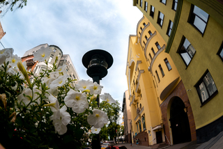 Городские оттенки желтого