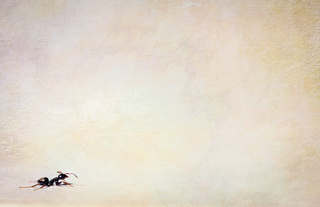 Из последних сил