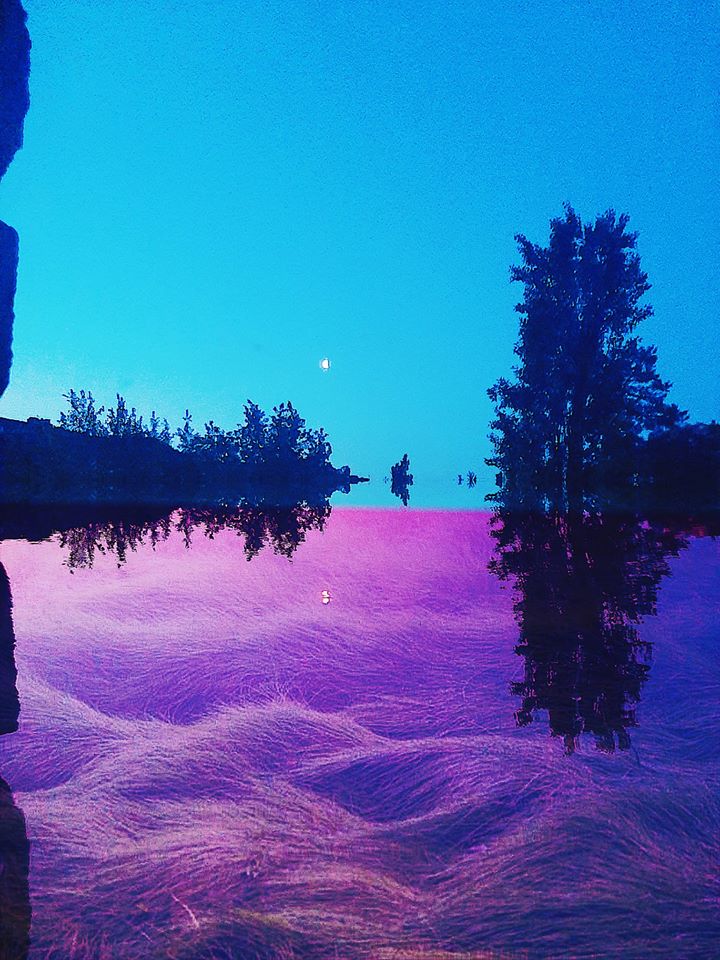 Вигадана реальність нашої природи