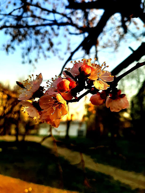 Просто заходить сонце