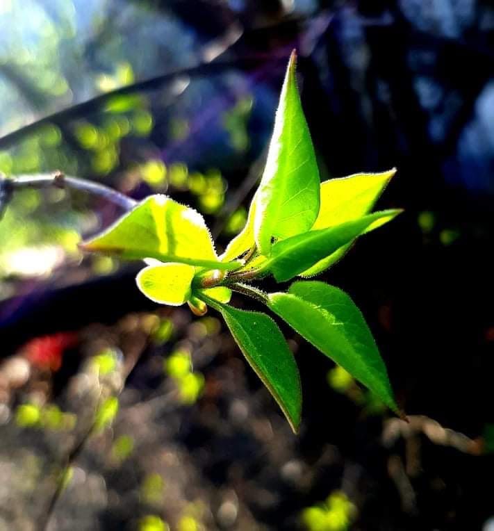 Мить очікування