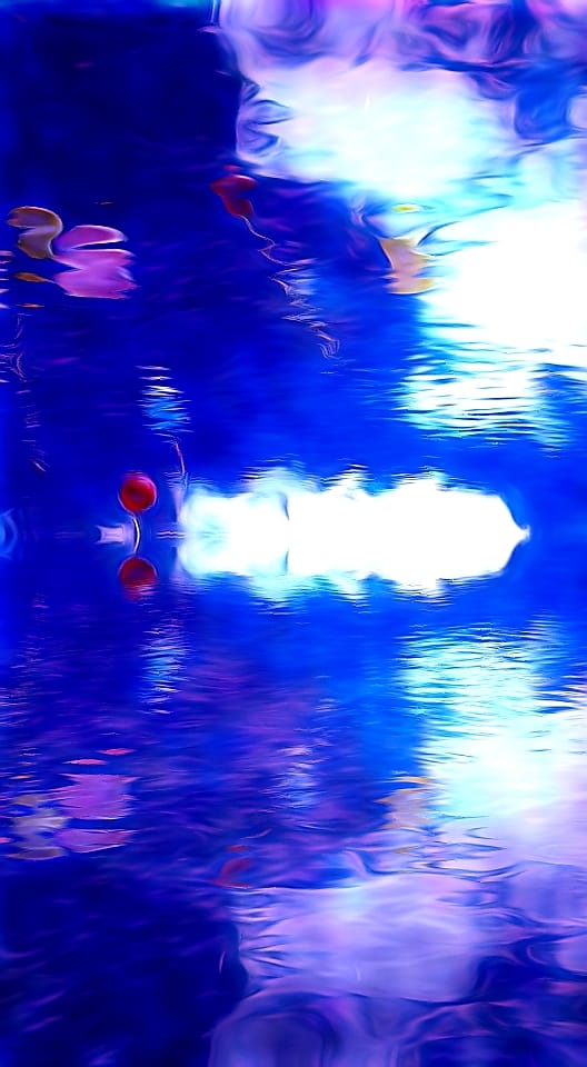 Екзотика нашого підводного світу